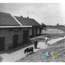 Coll. Jan Carel Peters F0000015